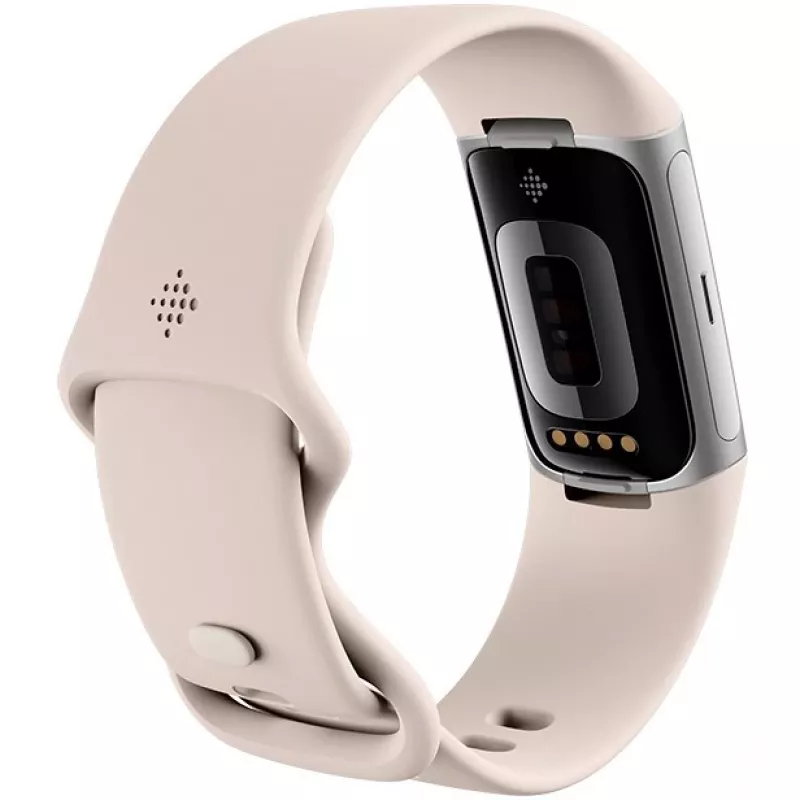 Fitbit GA05185-EU Prodotto argento