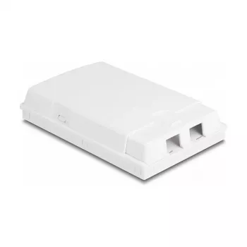 Presa in fibra ottica DeLOCK 2 x SC simplex LC duplex bianco