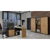 Libreria Topeshop OLIV 2D ANT/ART KPL