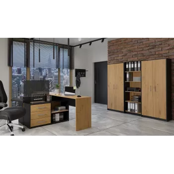 Libreria Topeshop OLIV 2D ANT/ART KPL