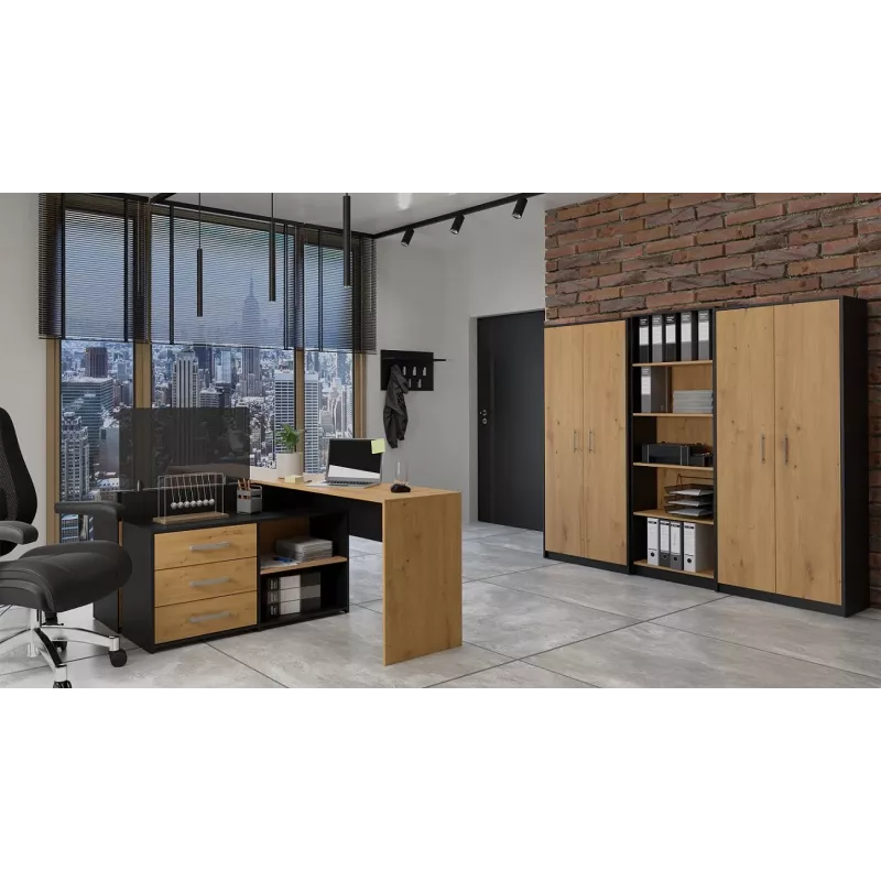 Libreria Topeshop OLIV 2D ANT/ART KPL
