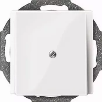 Merten 295619 cover/cover interruttore bianco (295619)