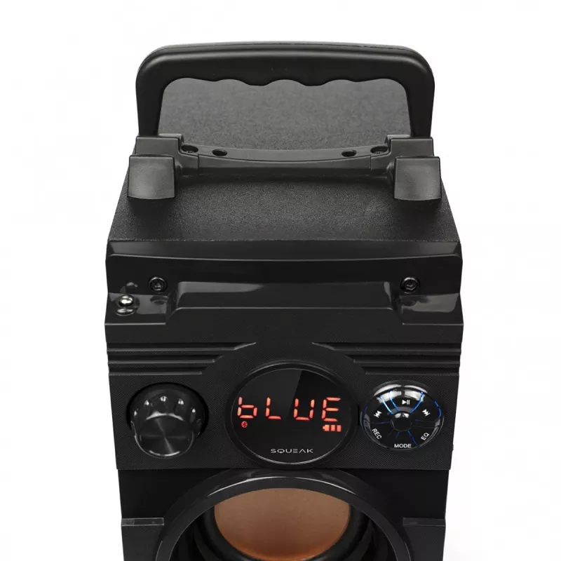 Squeak Bassblaster altoparlante Bluetooth 5.1, radio FM, lettore MP3 SQ1001