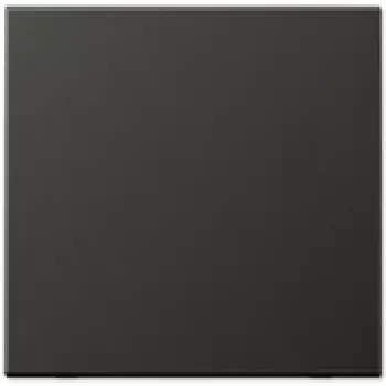 JUNG AL 2990 AN bilanciere per interruttore, nero, IP44