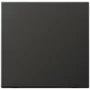 JUNG AL 2990 AN bilanciere per interruttore, nero, IP44