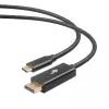 Cavo USB-C a DisplayPort TB AKTBXVDUSBCDP2B 2 m – nero