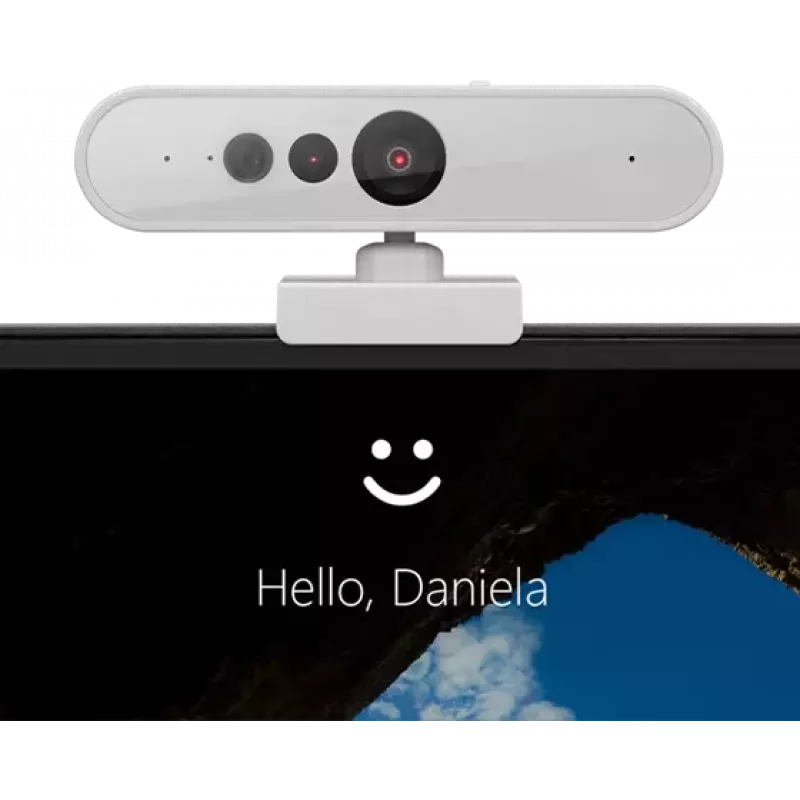 Webcam Lenovo GXC1D66063 2,8 MP 1920 x 1080 pixel USB-C grigia