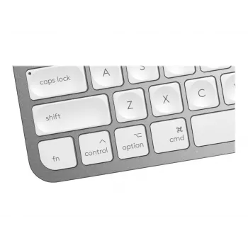 Tastiera MX Keys Mini Mac Pale 920-010526 grigio