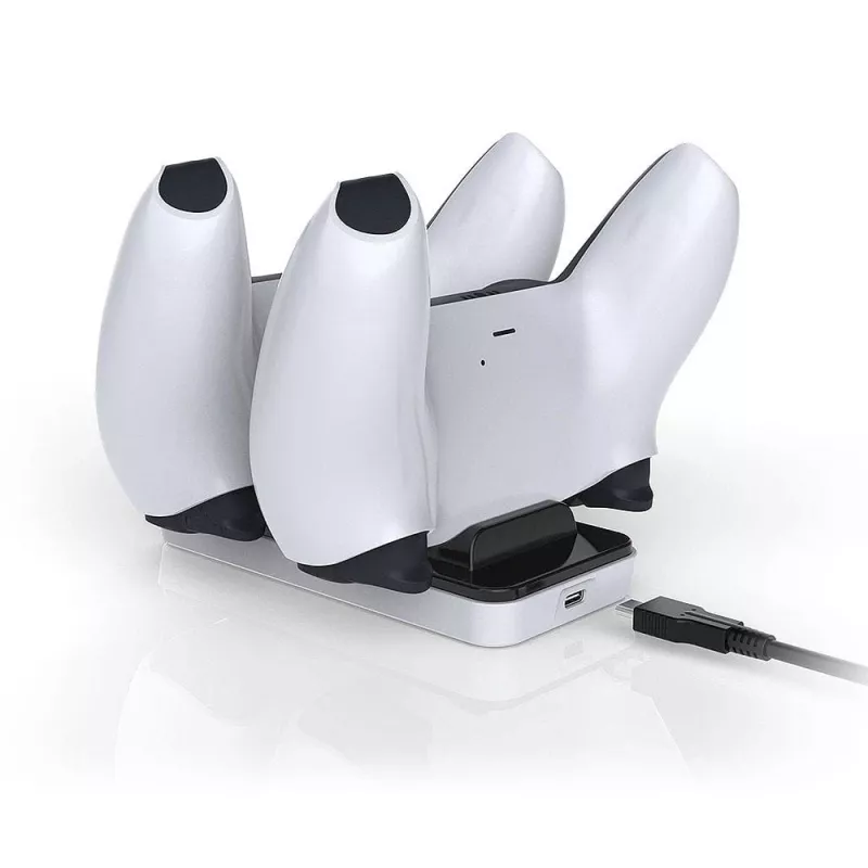 Raptor CS200-LT, interno, USB, nero, bianco