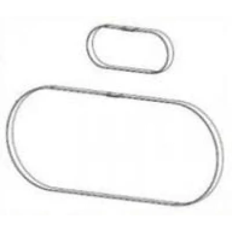 Zebra P1046696-146 ricambio/accessorio per stampante/scanner cinghia 2 pz.