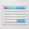 Set di tasti Ducky x MK Frozen Llama