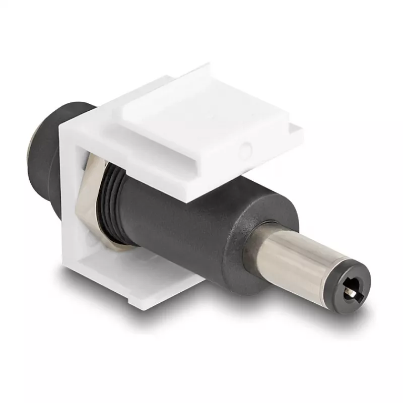 Modulo Keystone DeLOCK DC 5,5 x 2,1 mm femmina su maschio bianco