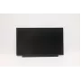 Lenovo 02HL701 Pannello LCD HD TN da 13,3 pollici, antiriflesso, 250 nit