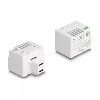 DeLOCK Modulo Keystone 41479 2 x USB Type-C PD 20W bianco