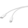 Cavo USB Renkforce USB 2.0 connettore maschio USB-C connettore maschio Apple Lightning bianco (RF-5042728)