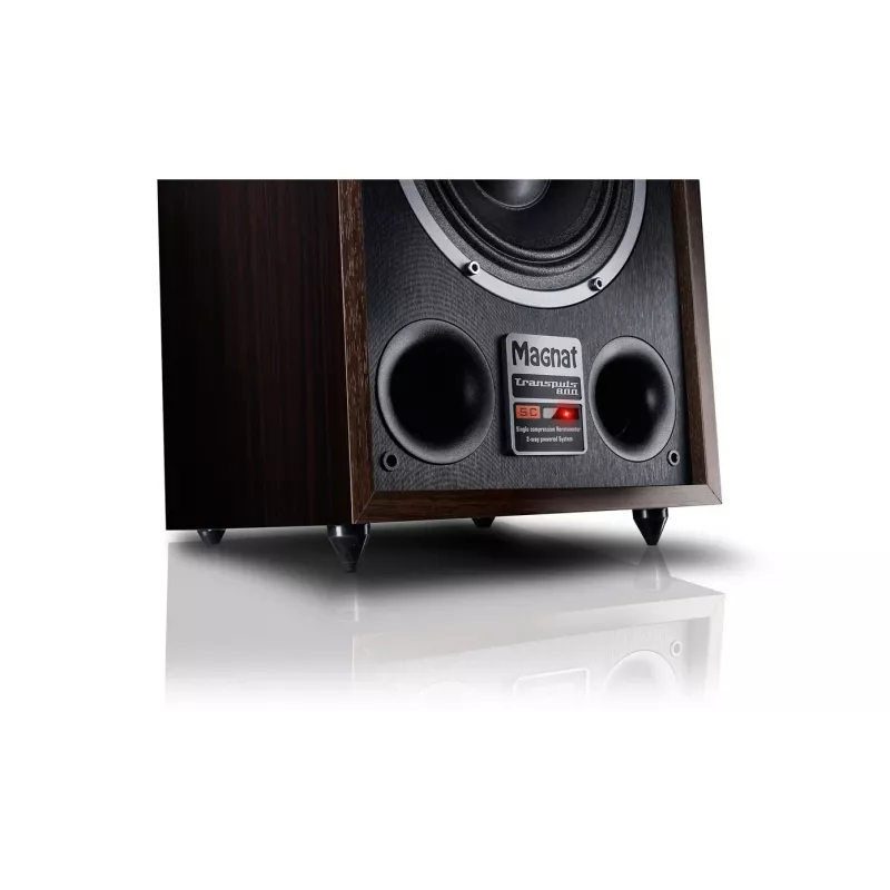 Diffusore da pavimento Magnat TRANSPULS 800A 2 vie con e senza fili 2×60 W, Bluetooth 5.0, HDMI, nero/marrone