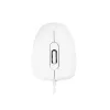 MODECOM M10 M-MC-0M10-200 mouse (ottico, 1000 DPI, colore bianco) (M-MC-0M10-200)