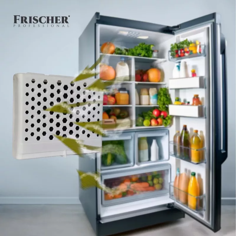 Assorbiodori per frigorifero Frischer