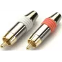 Set di connettori maschio RCA (Cinch) Kindermann KIN 7489000212 — connettori audio rosso e bianco