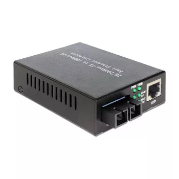 Convertitore media di rete DeLOCK 86215