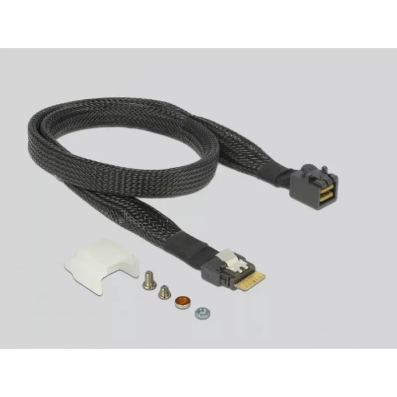 Scheda interfaccia DeLOCK 63953 interna SAS SATA