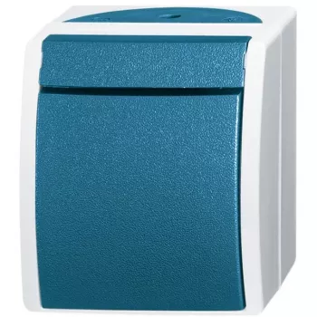 BUSCH JAEGER 2621 W-53 - blu - bianco - 1763-53 2152 NLI-53 2609 WS 2134 W-53 2136 W-53 2138 W-53 2139 W-53 2086 W-53 2137/10 W-53 2137/11... - IP44