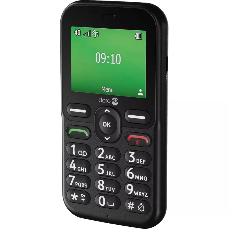 Telefono cellulare Doro Leva E10 2,4 pollici