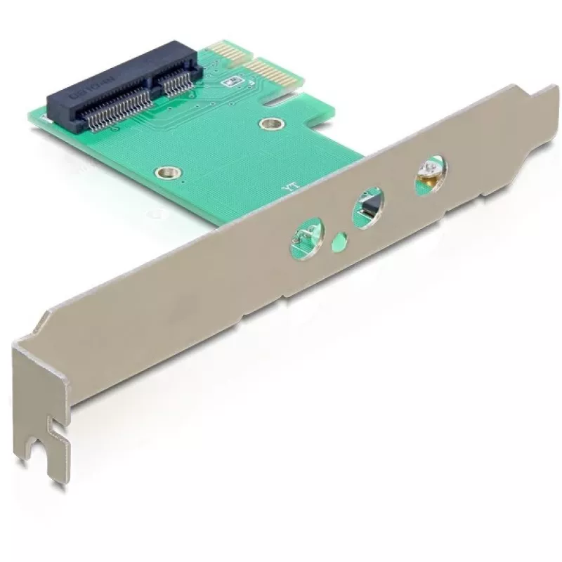 Scheda interfaccia DeLOCK 89294