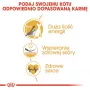 Royal Canin Sphynx Adult cibo secco per gatti, 2 kg