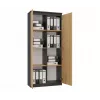 RS-80 HEMN libreria per ufficio, antracite/rovere artisan