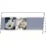 Biglietto d'auguri standard Sigel DS208
