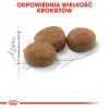ROYAL CANIN Sterilised 37 - Crocchette per gatti - 10 kg