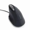 Mouse Gembird MUS-ERGO-03 USB Type-A ottico per destrimani