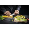 Zwilling TANREI 10 cm coltello per guarnire e disossare