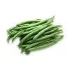 Semi di fagiolo Nomad Green Dwarf, 50g - semi di ortaggi