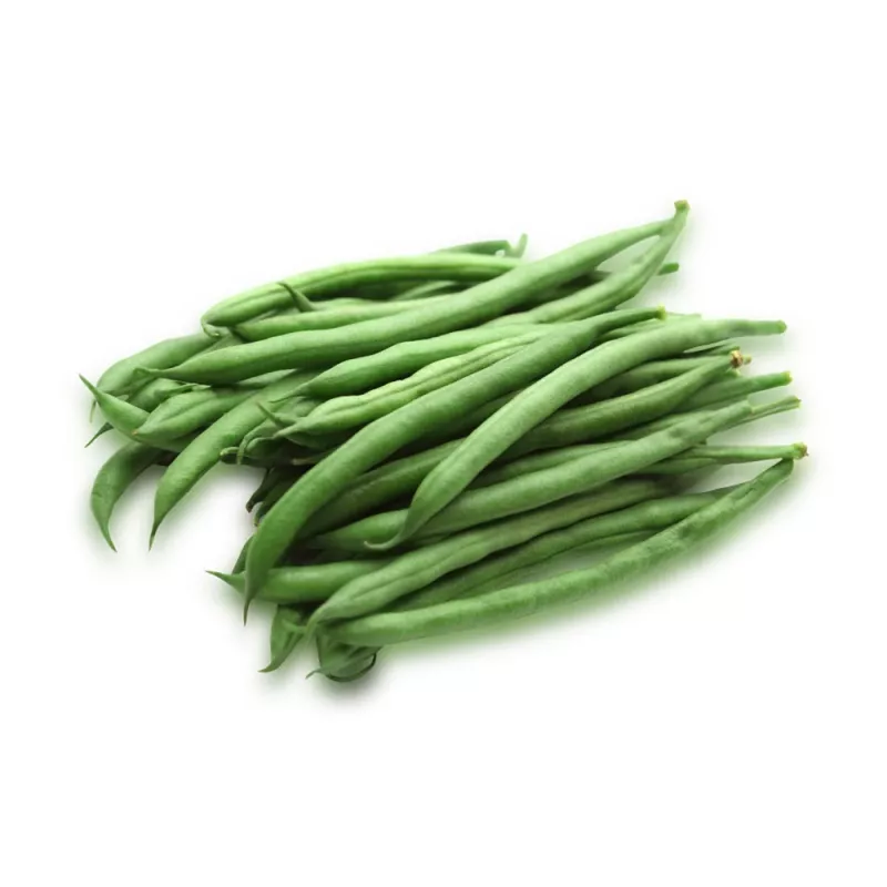 Semi di fagiolo Nomad Green Dwarf, 50g - semi di ortaggi