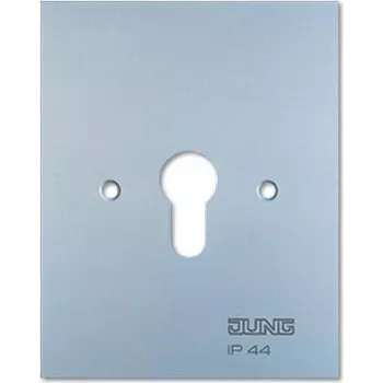 Placca metallica 125x100mm senza simboli 6.28 WUG (6.28WUG)