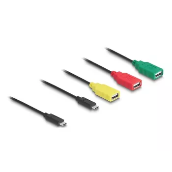 Hub USB DeLOCK 4 porte USB 2.0 con cavo USB Type-C su 3 x USB-A femmina + 1 x USB-C maschio