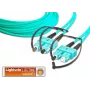 Lightwin LDP-50 SC-SC 4.0 OM3 cavo in fibra ottica 4 m colore aqua (LDP-50 SC-SC 4.0 OM3)