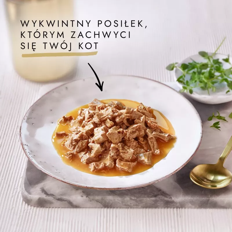 GOURMET GOLD Sauce Delights pollo 85g