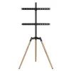 Supporto a terra per TV 32-65/TRIPOD TVS-65S-01 Gembird
