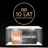 Duracell Basic D (R20) batteria — confezione da 2, celle primarie zinco-carbone