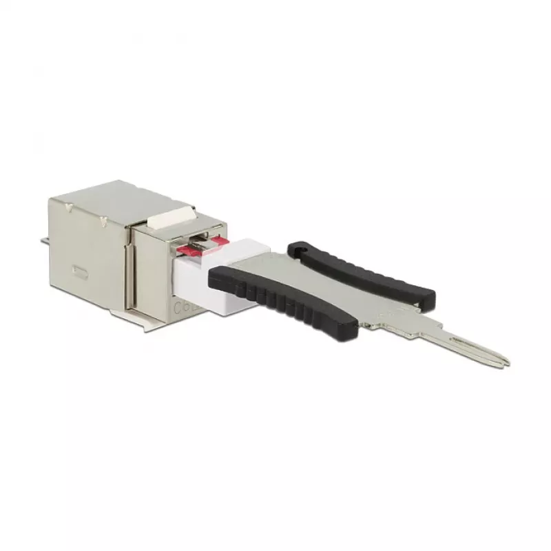 Delock 86404 modulo Keystone RJ45 Secure Cat.6 a LSA, bianco