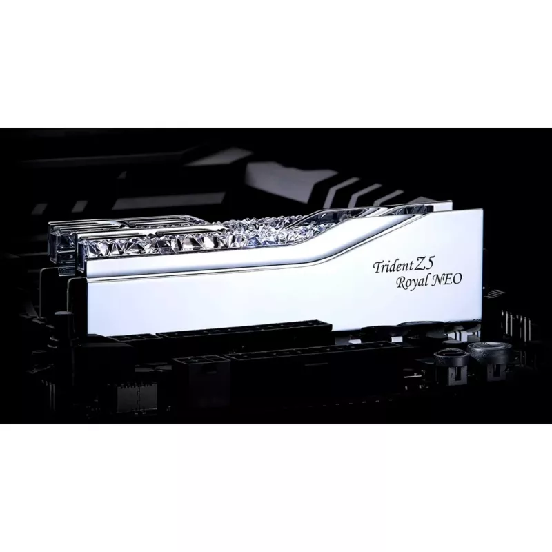 G.skill F5-8000J4048G24GX2-TR5NS modulo di memoria