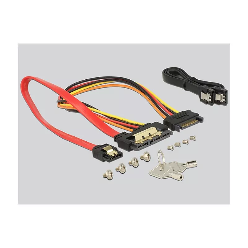 Alloggiamento HDD DeLOCK 47228 parte universale per case PC
