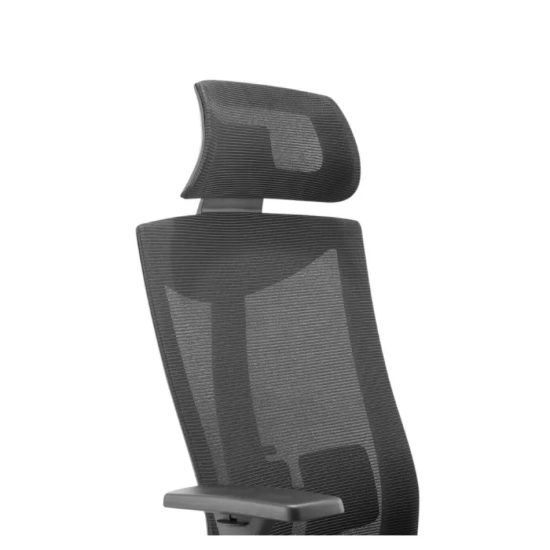 Sedia ergonomica premium Ergo Officer ER-414