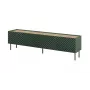 Mobile RTV 4D ONDA 200x40xH54.35 verde (da terra o da parete)