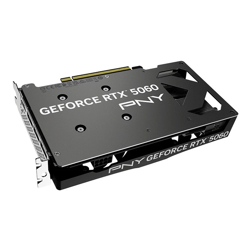 PNY GeForce RTX 5060 8GB scheda grafica