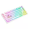 Tastiera gaming Savio Phenix WHITE GAT RED PUD con filo wireless USB Bluetooth RGB LED