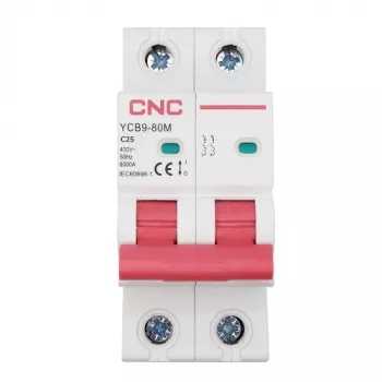 Interruttore automatico magnetotermico HiSmart NV821518 bipolare 25A curva C MCB